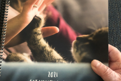 Cat-journal-cover-hand