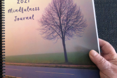 Mindfulness-front-cover-hand