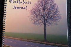 Mindfulness-front-cover